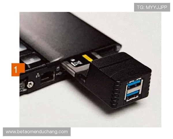 og真人app首页最新版本下载安装步骤与升级技巧指南