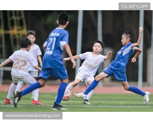 深入了解真人的足球比赛规则及战术策略，成为场上不可忽视的足球专家